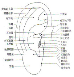 吉林市新东方雅思培训学校?